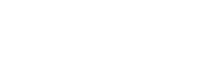Loyal Insurance Group